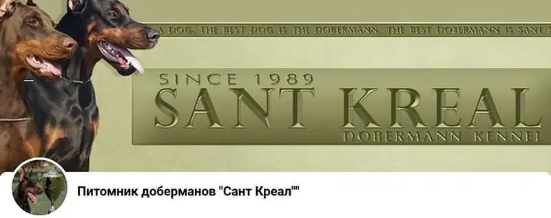 Sant Kreal / Сант Креал (Питомник Доберман)