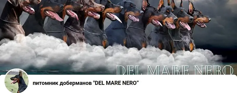 Del Mare Nero (Питомник Доберман)