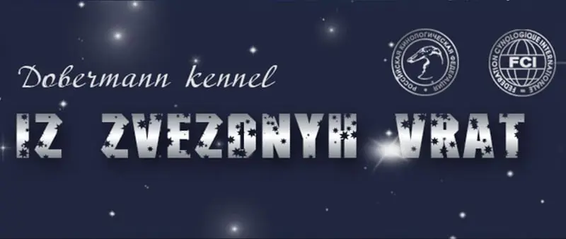 ZV / Из Звёздных Врат (Питомник Доберман)