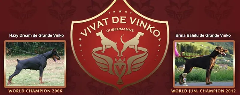 Vivat de Vinko / Виват де Винко (Питомник Доберман)